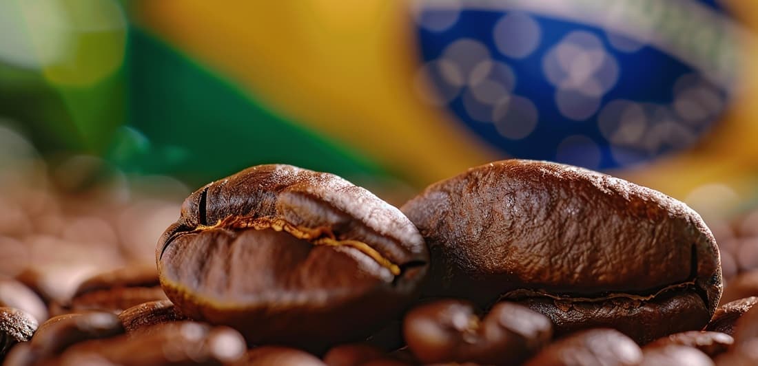 Brazil’s Coffee Exports: How Data Reveals New Opportunities