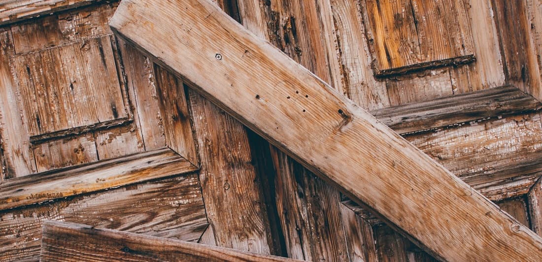 Exportaciones brasileñas de madera: del árbol que dio nombre al país a un comercio que se está reconfigurando