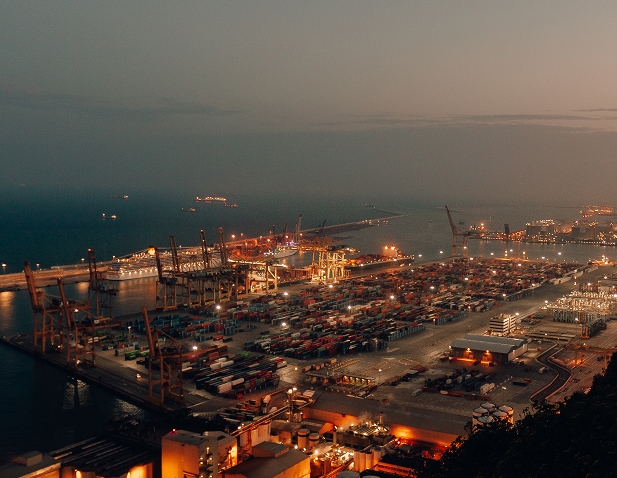 Importer Intelligence Platform Dashboard