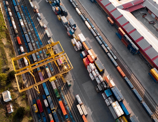 Importer Intelligence Platform Dashboard