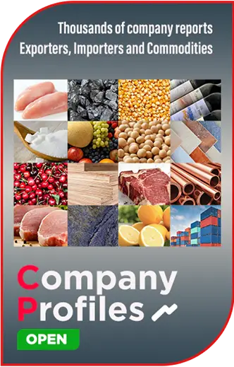 Company Profiles