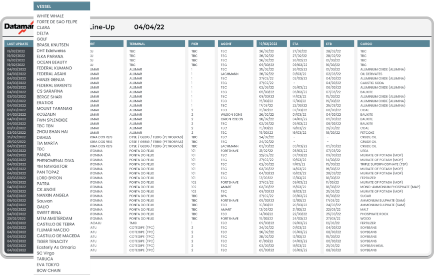 Captura de tela do dashboard do DataLiner no mobile